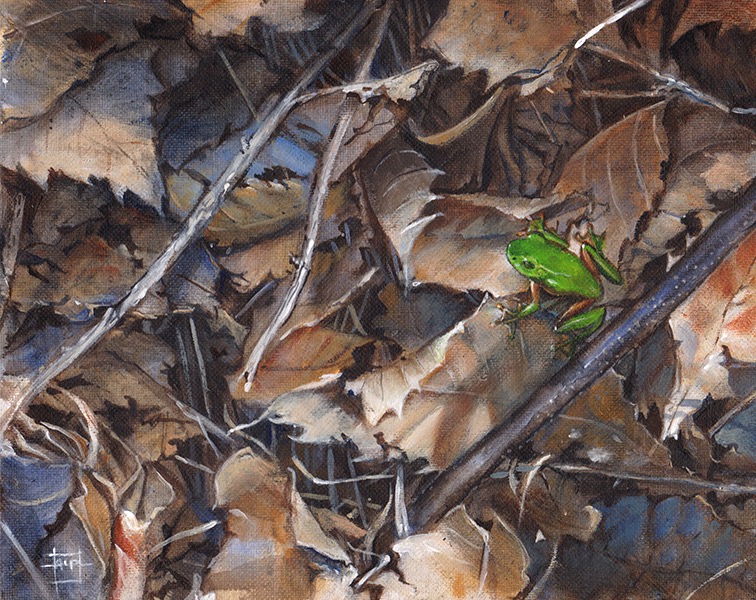 Aaron Pocock Illustration's image