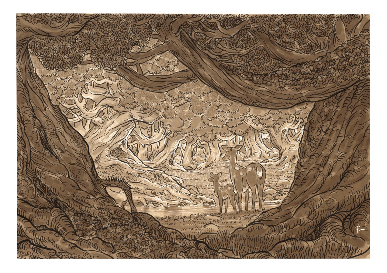 Aaron Pocock Illustration's image