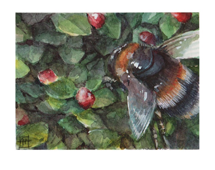 Aaron Pocock Illustration's image