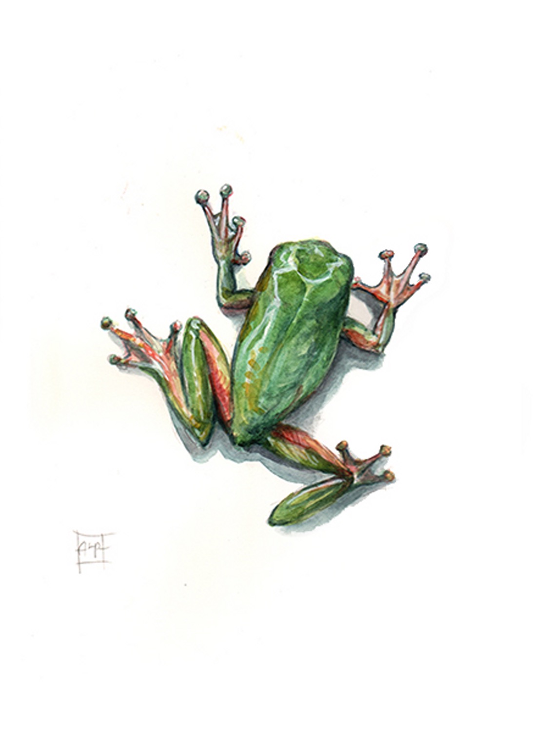 Aaron Pocock Illustration's image