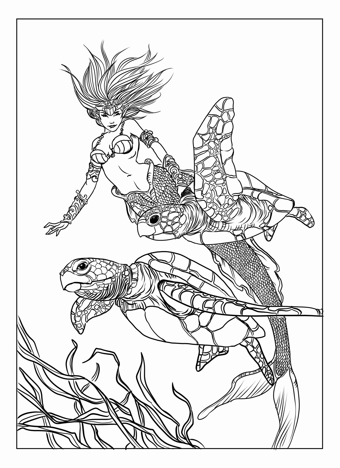 Aaron Pocock Illustration's image