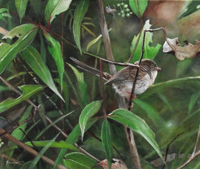 Aaron Pocock Illustration's image