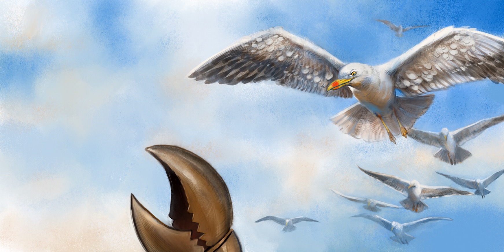 Aaron Pocock Illustration's image