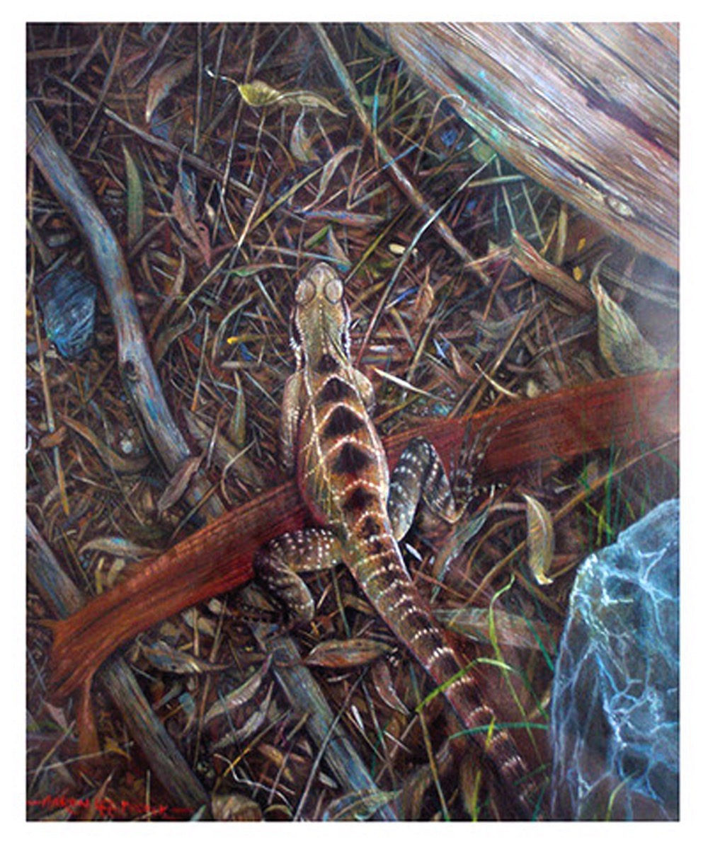 Aaron Pocock Illustration's image