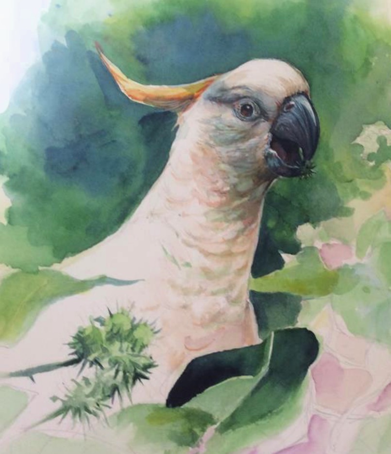 Aaron Pocock Illustration's image