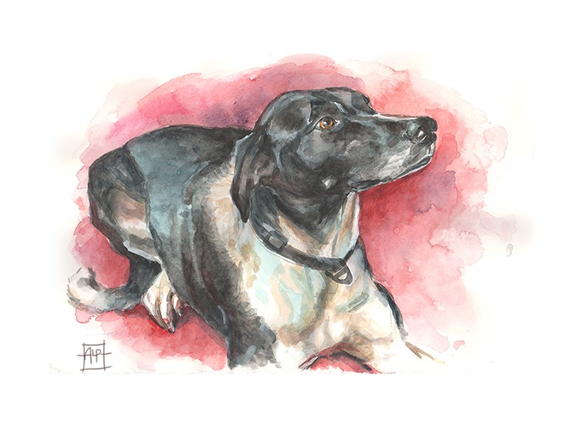 Aaron Pocock Illustration's image