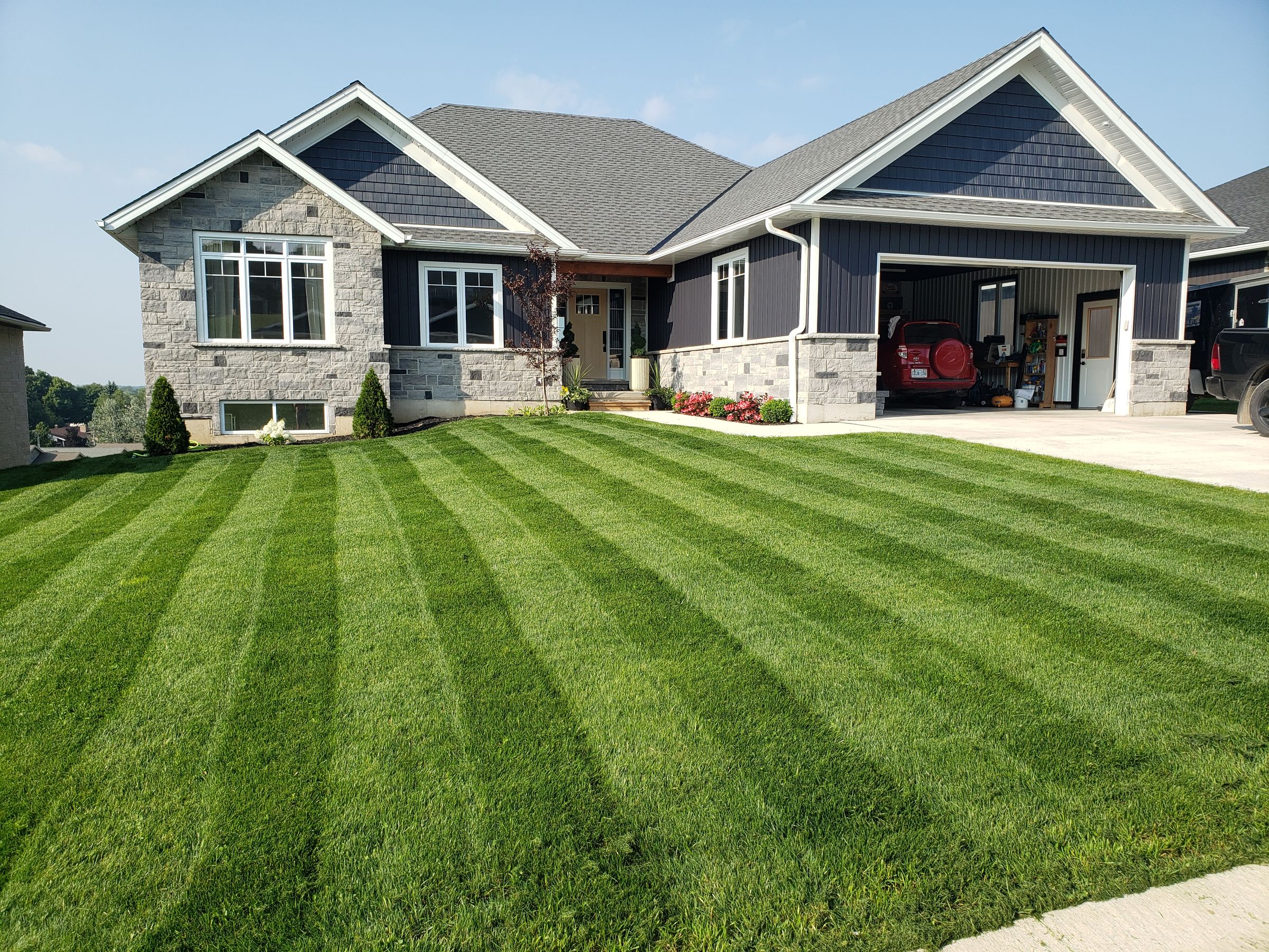 DryBuild Construction Ltd.'s image