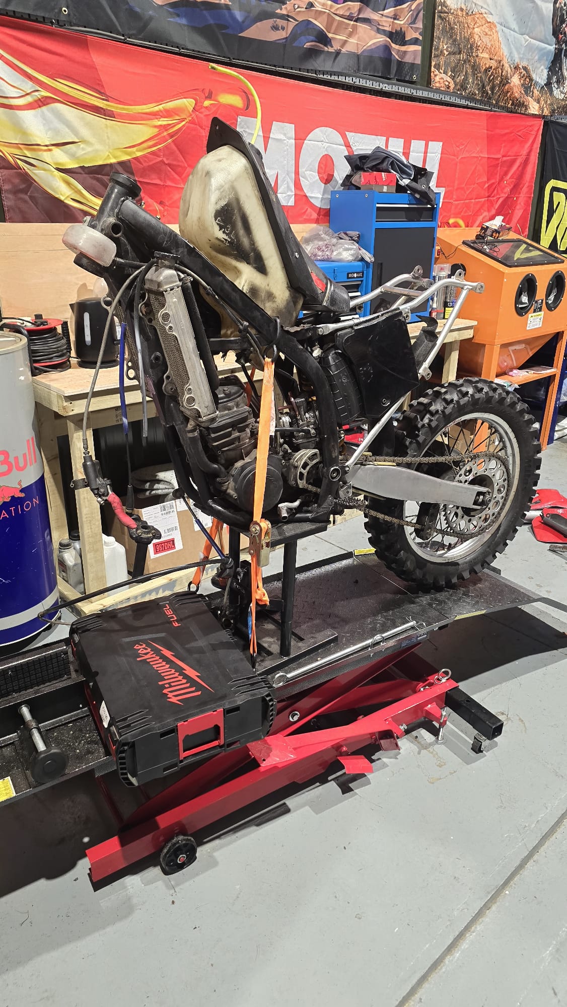 wild bikes ltd's image