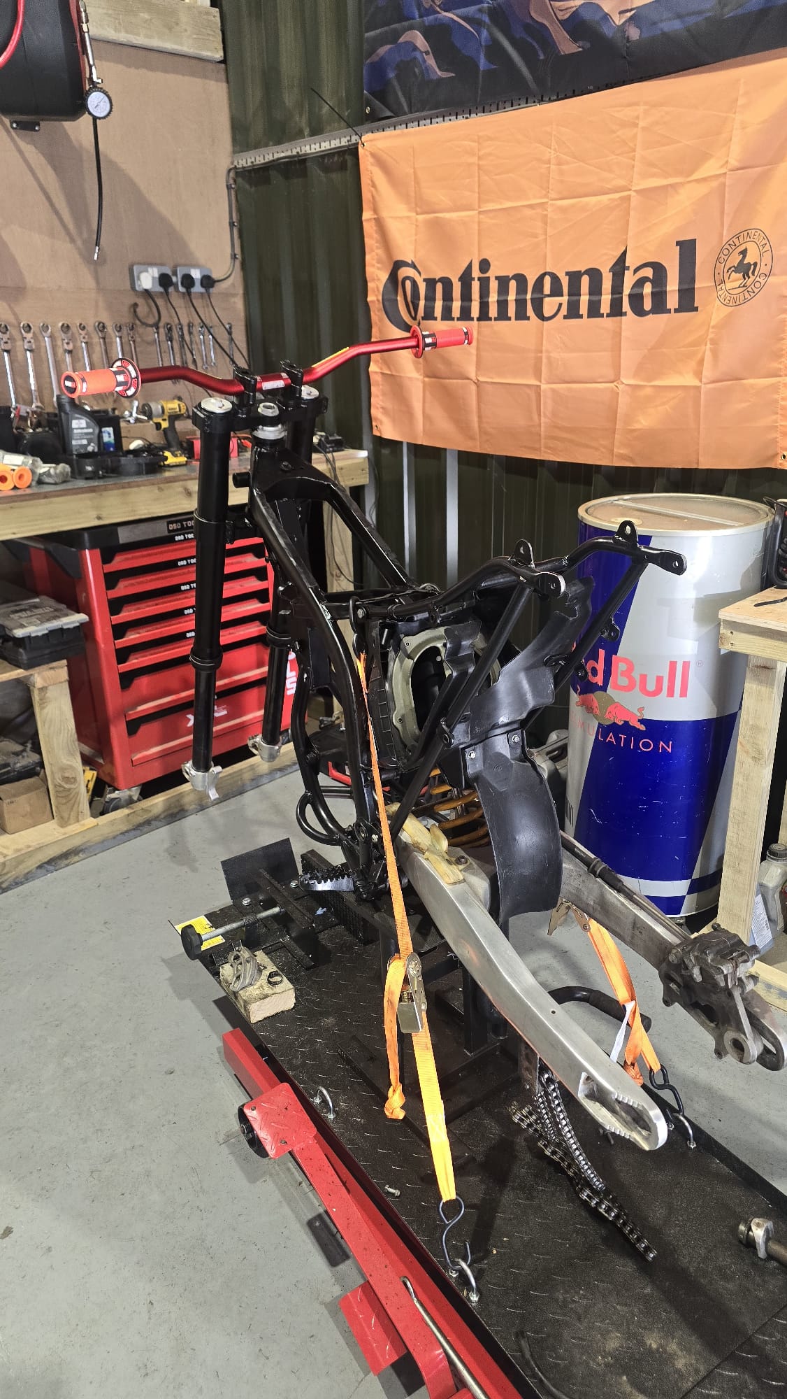 wild bikes ltd's image