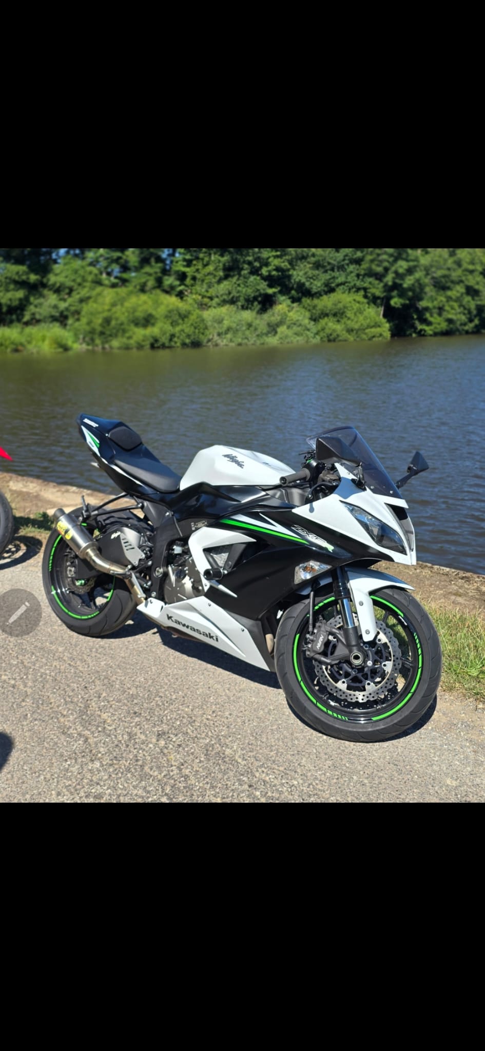 wild bikes ltd's image