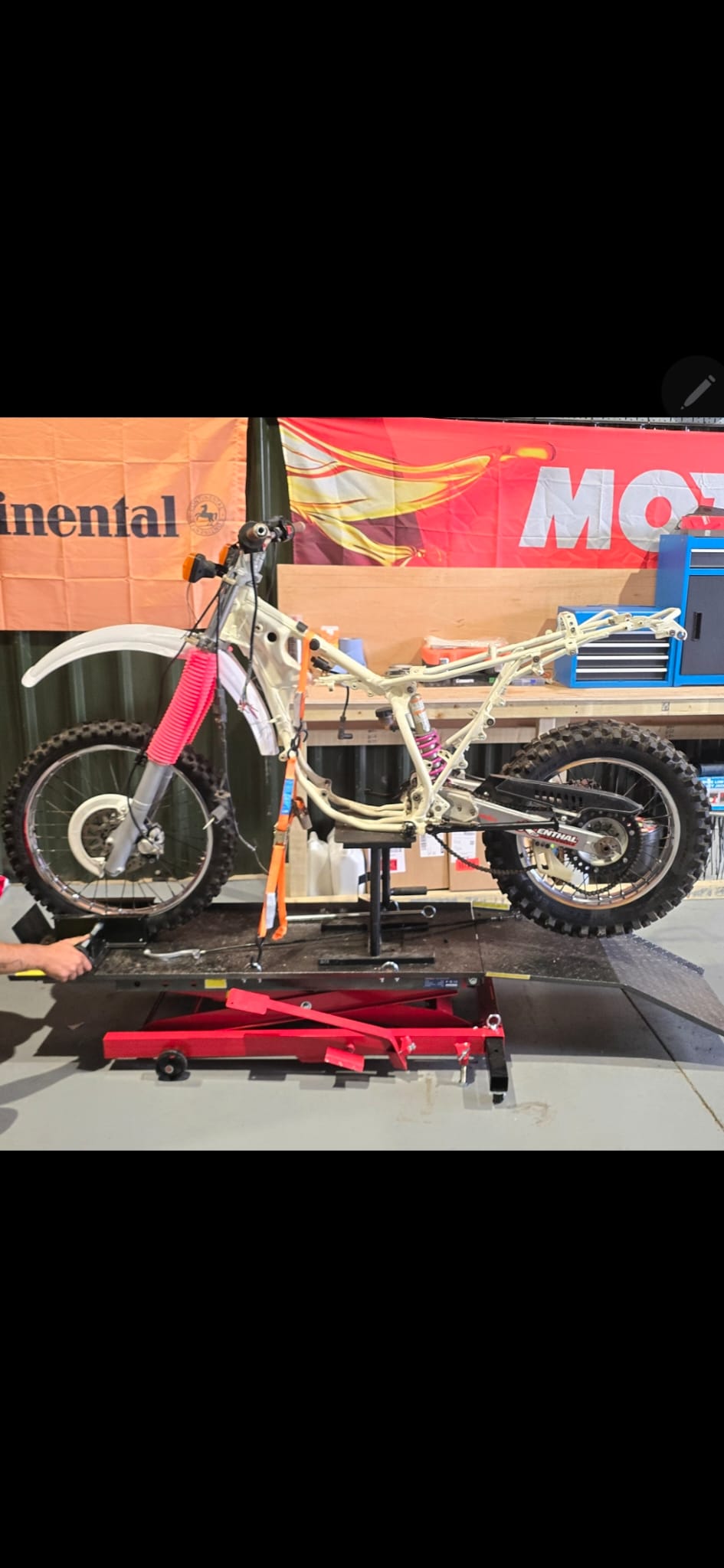 wild bikes ltd's image