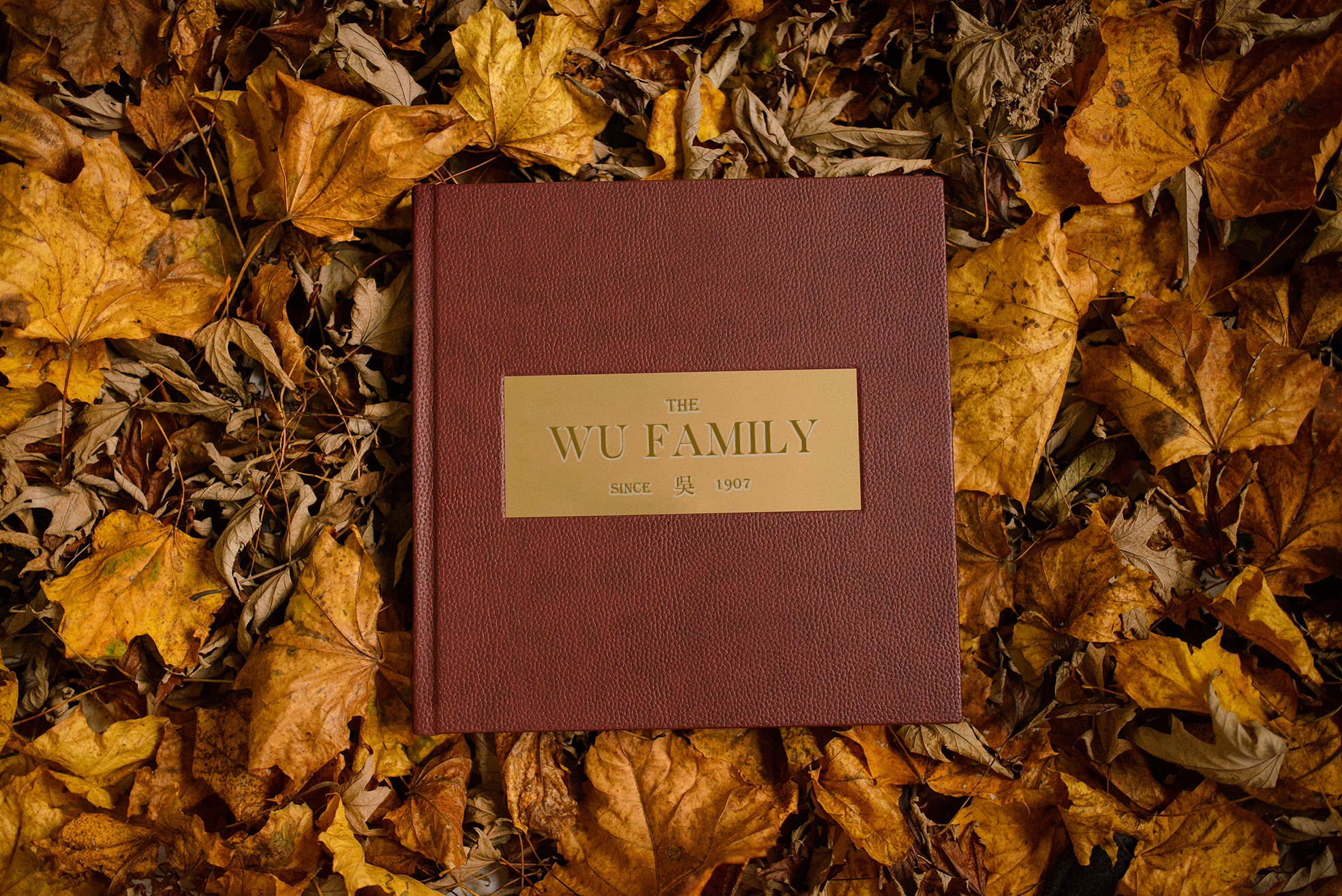 Family legacy's image