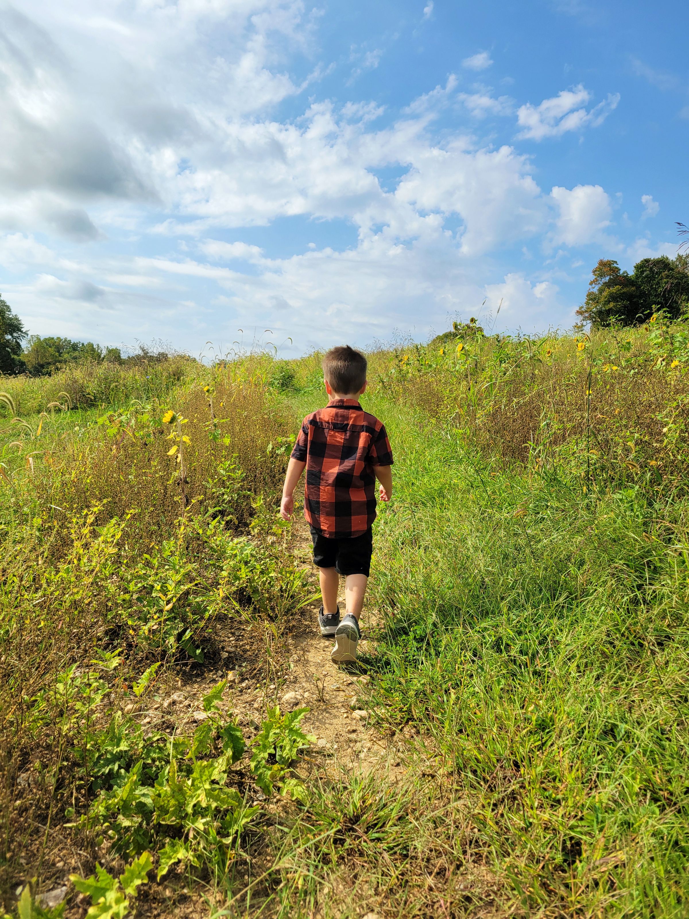 WanderShield | Wearable Safety Bracelet for Kids's image