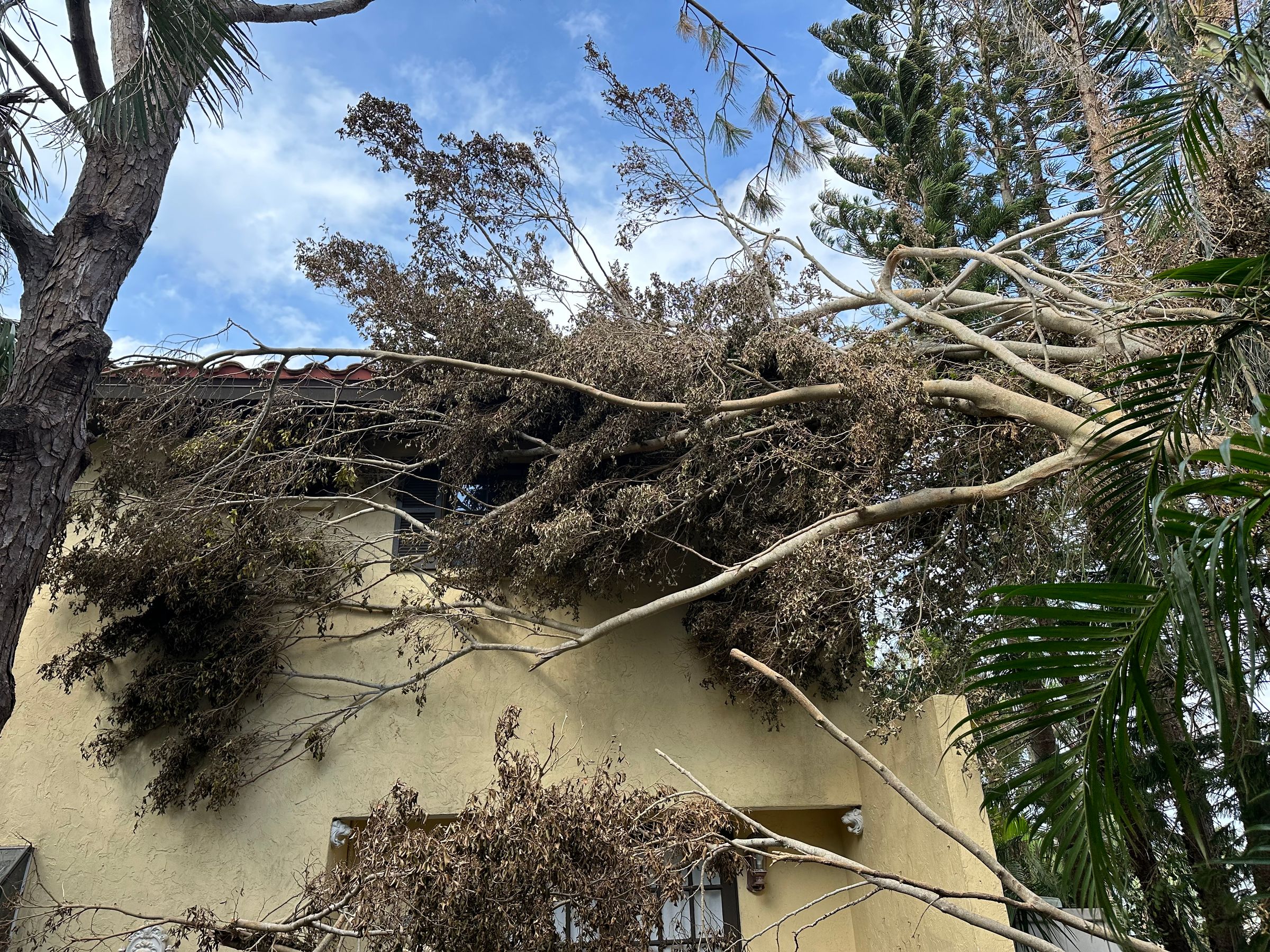 Top roofing, renovations & restorations in Houston, TX.'s image