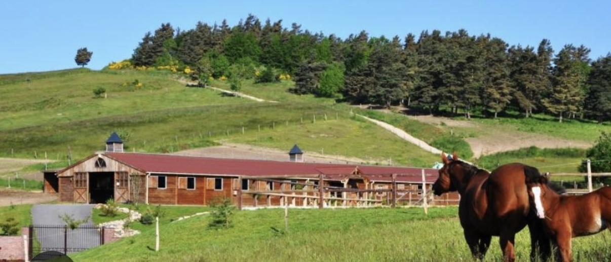 Chambres D’hôtes « Les Crins Du Bonheur »'s image