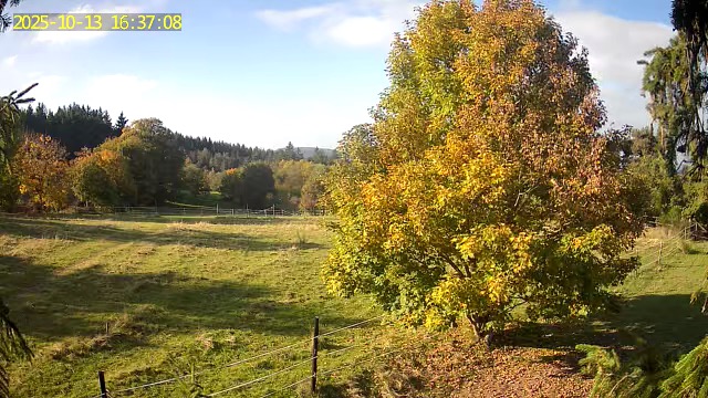 Chambres D’hôtes « Les Crins Du Bonheur »'s image