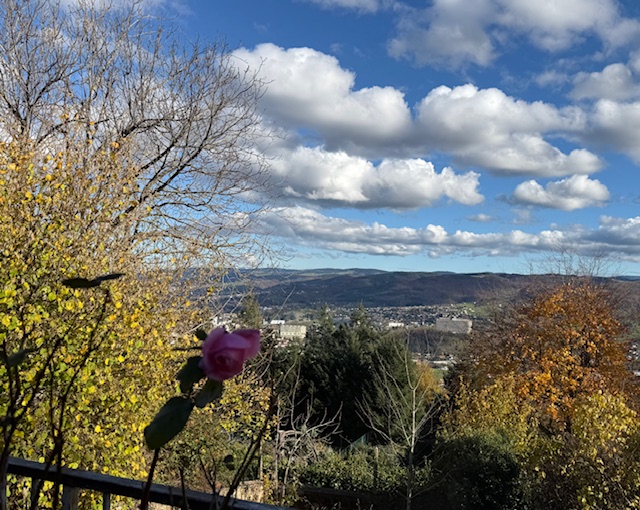 Chambres D’hôtes « Les Crins Du Bonheur »'s image