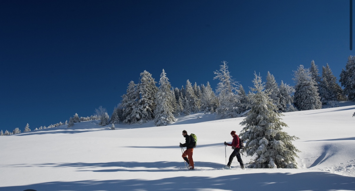 Chambres D’hôtes « Les Crins Du Bonheur »'s image