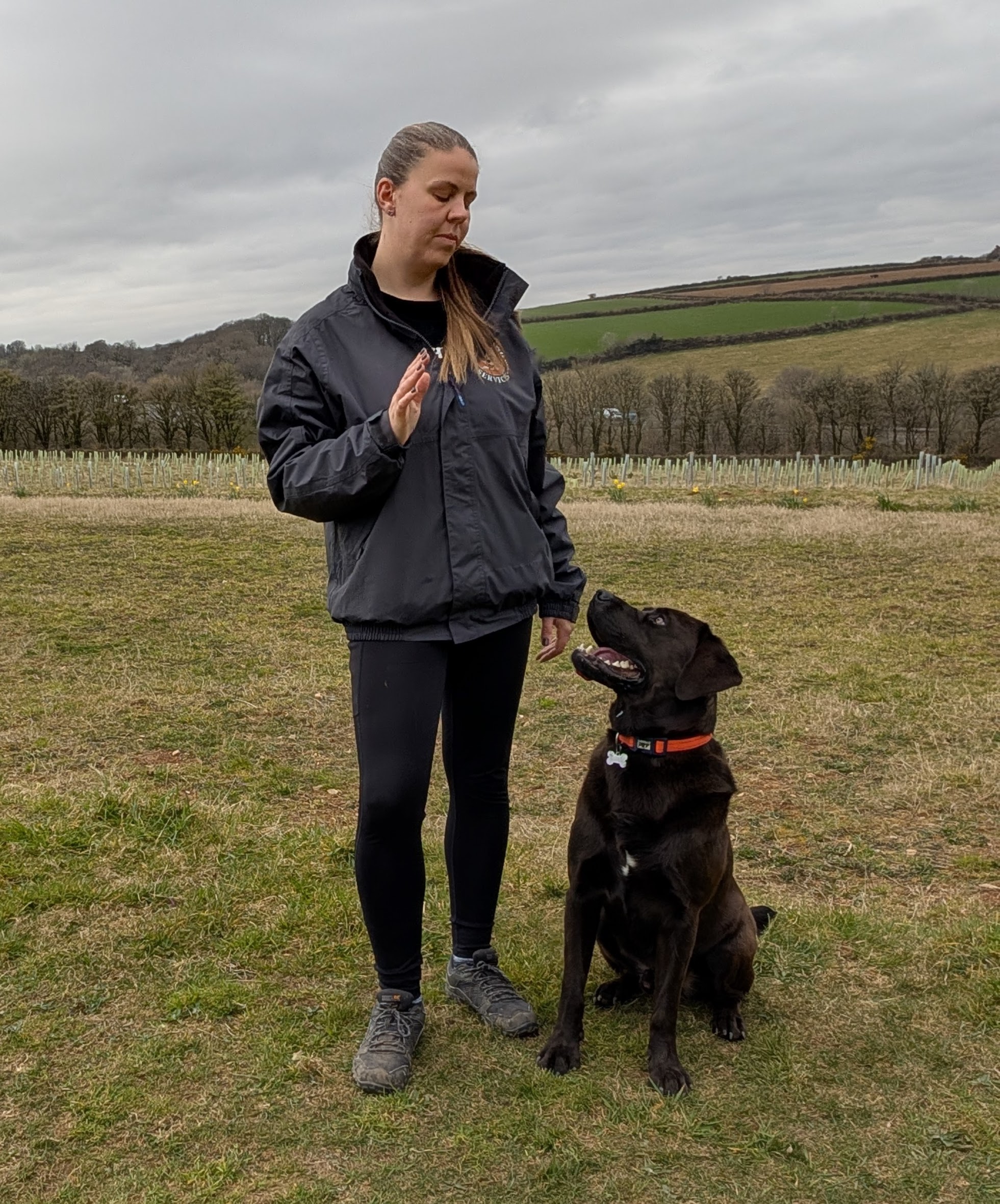 Hicks Dog Services's image