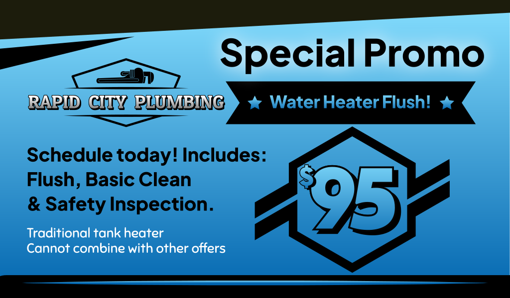 $95 WATER HEATER FLUSH