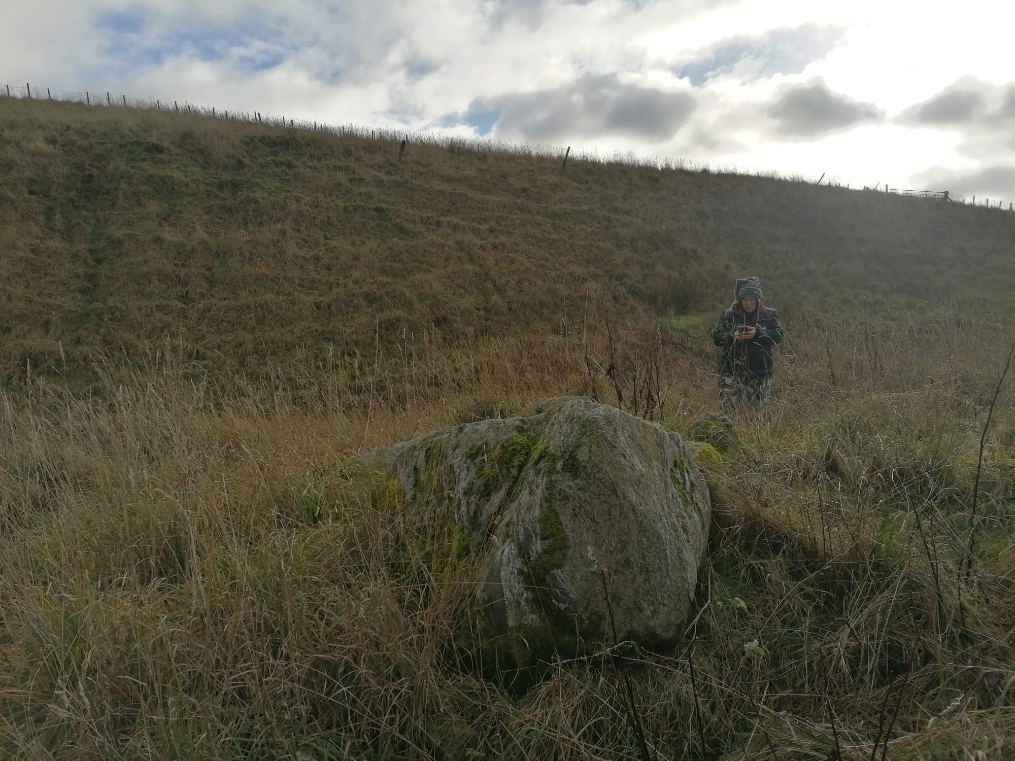 The Cailleach's image