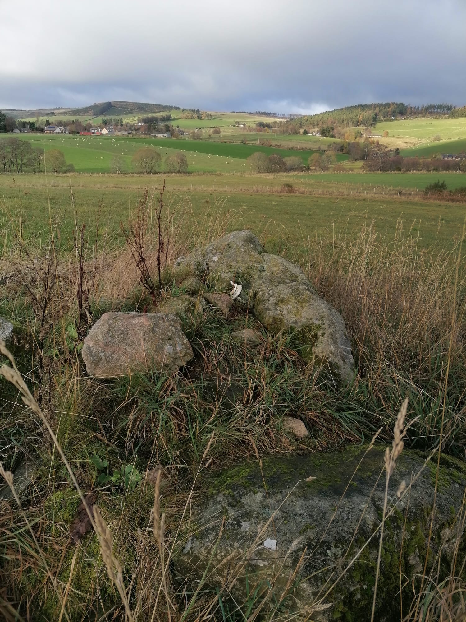 The Cailleach's image