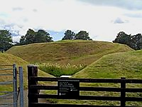 The Cailleach's image