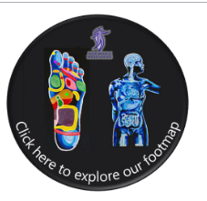 Holistic Pause's image