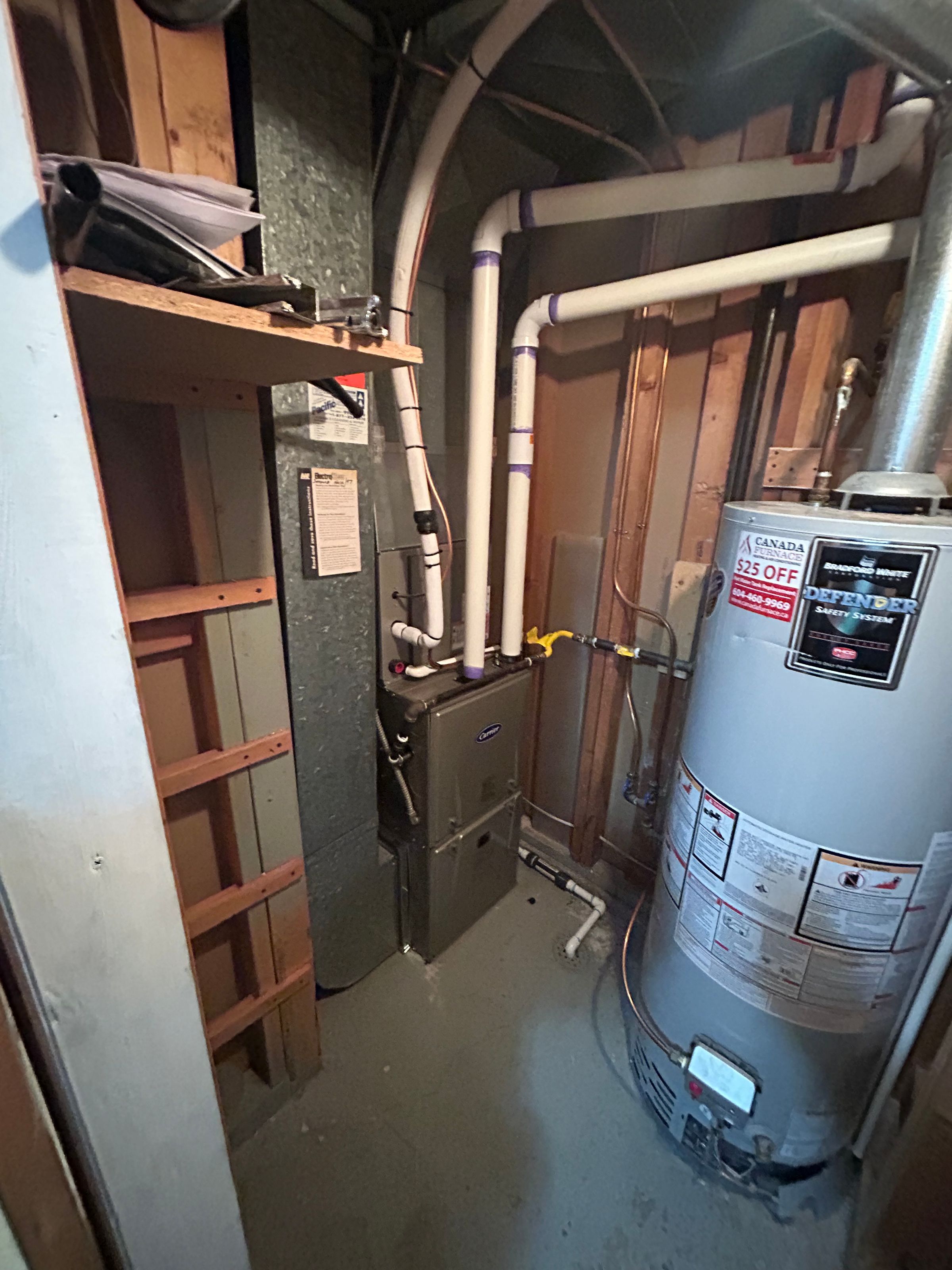 Lucas Neufeld avatar