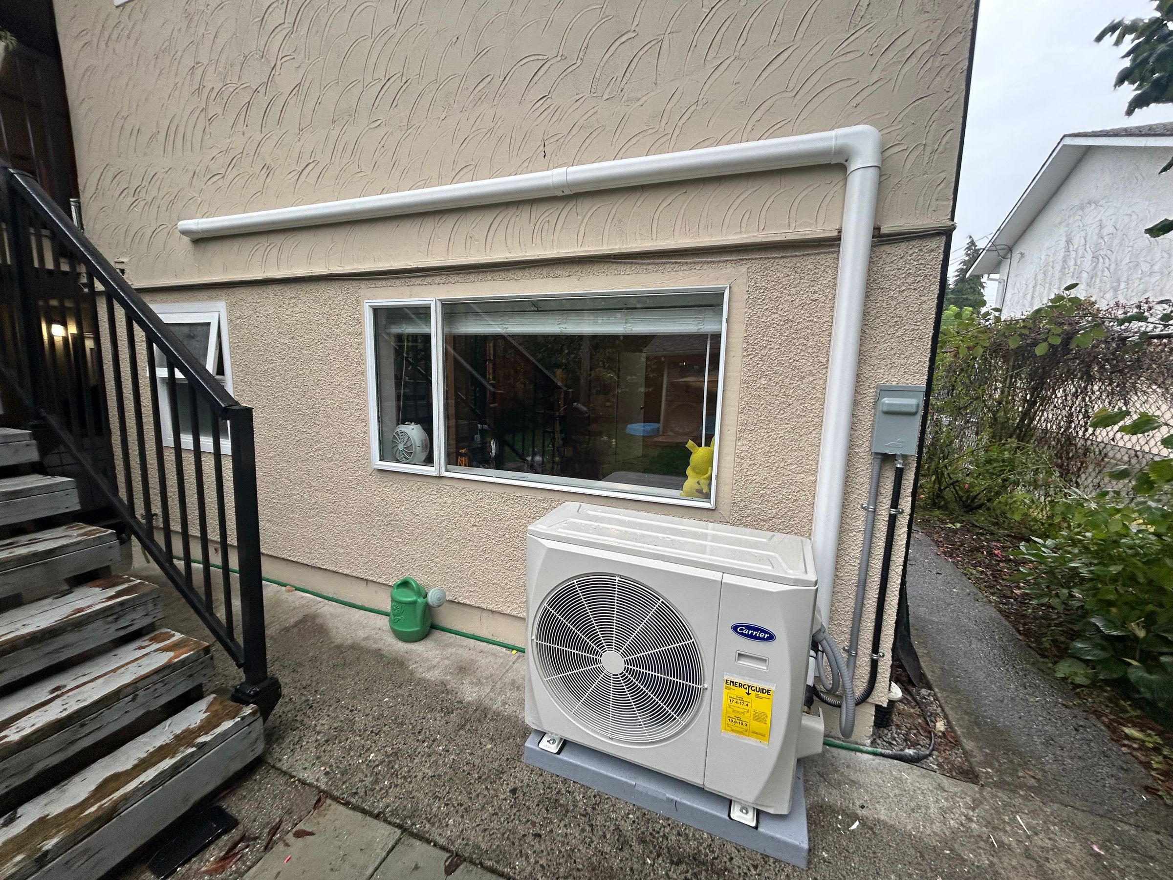 Hailey Niel   avatar