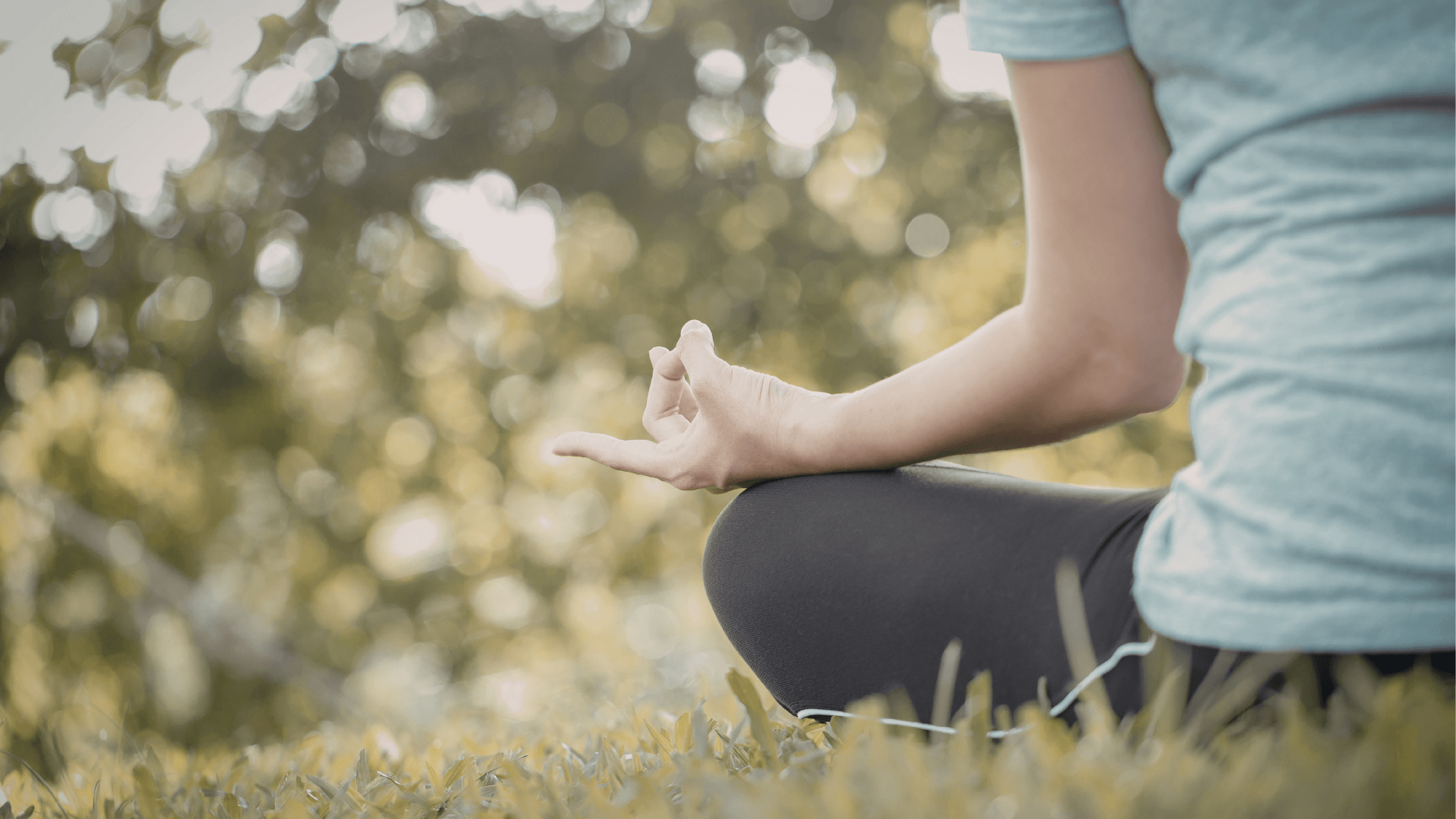 Pathway to Grow and Glow 's image