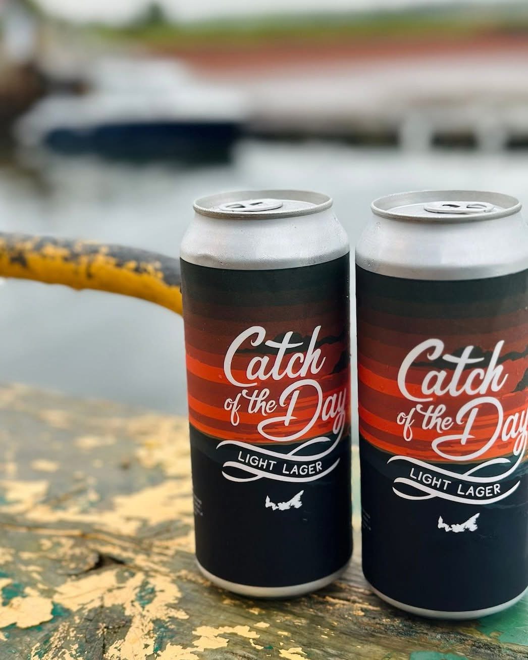 Marly Anderson Business Creation & Solutions 's image