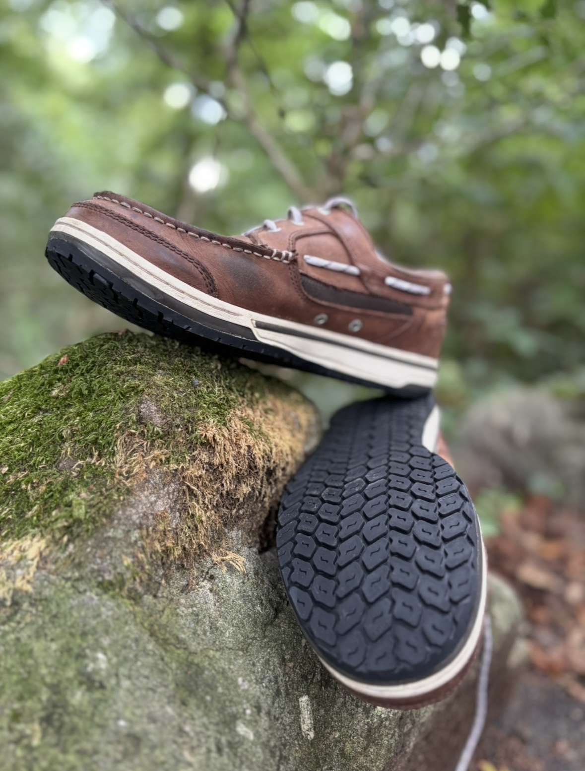 The Climbing Cobbler's image