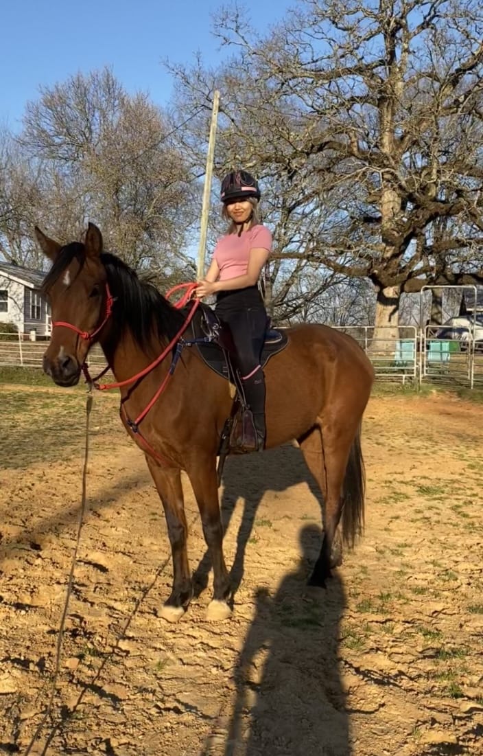 Mississippi Veterans Competitive Horsemanship Program's image