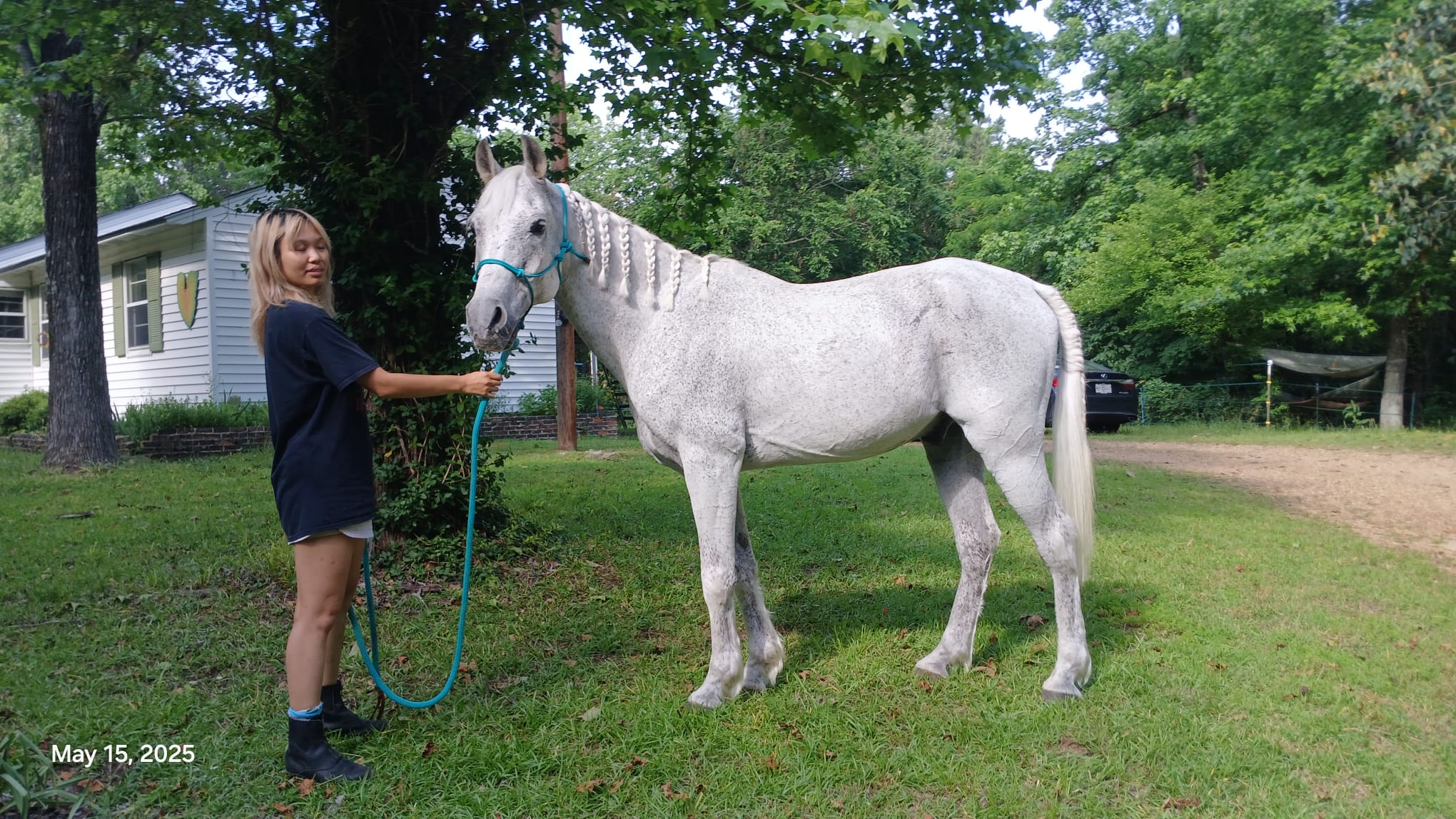 Mississippi Veterans Competitive Horsemanship Program's image