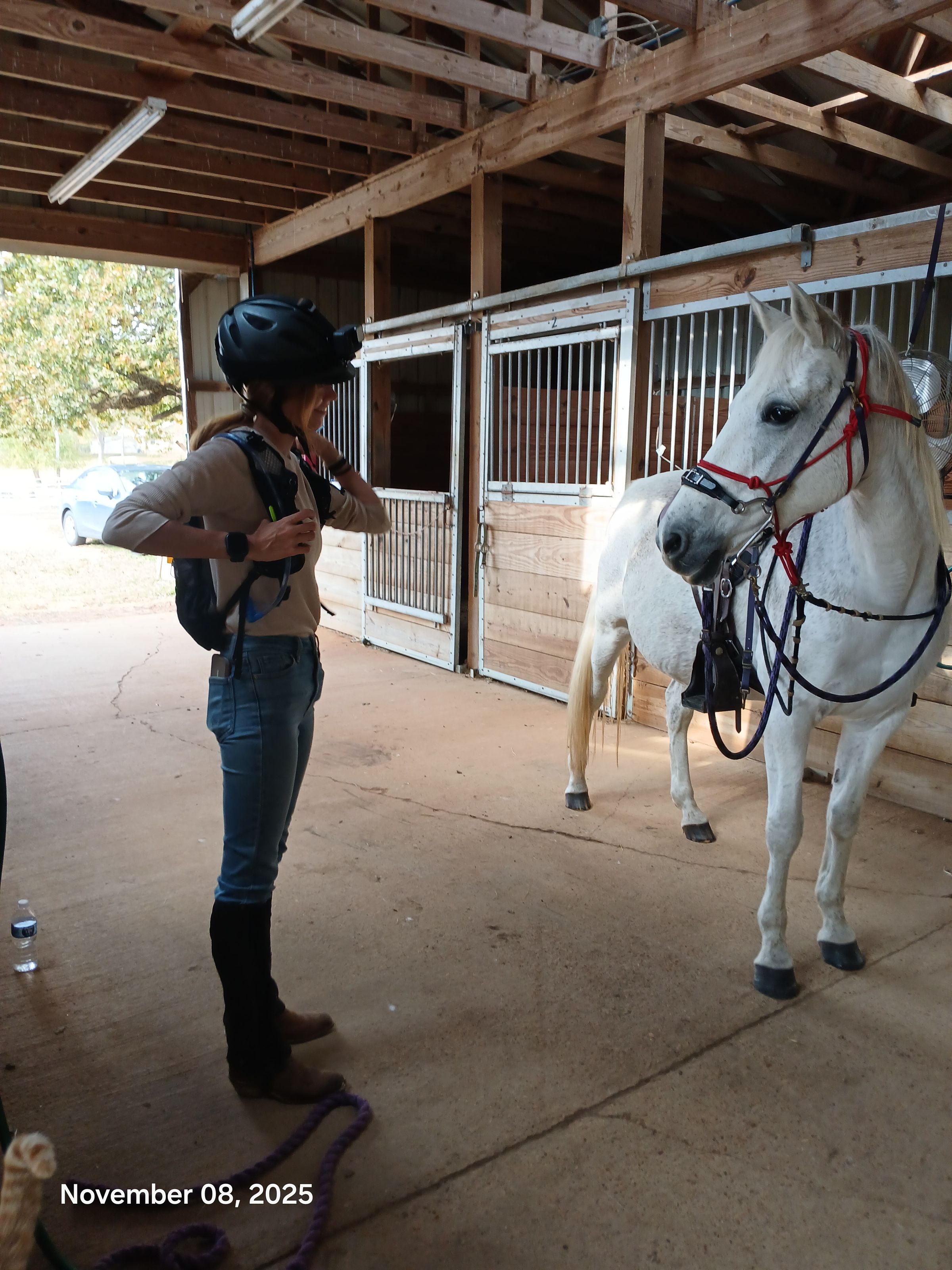 Mississippi Veterans Competitive Horsemanship Program's image