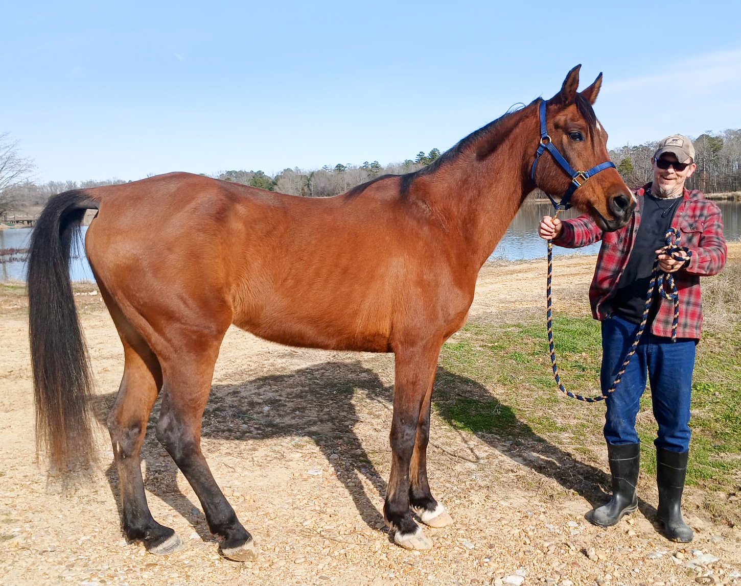 Mississippi Veterans Competitive Horsemanship Program's image