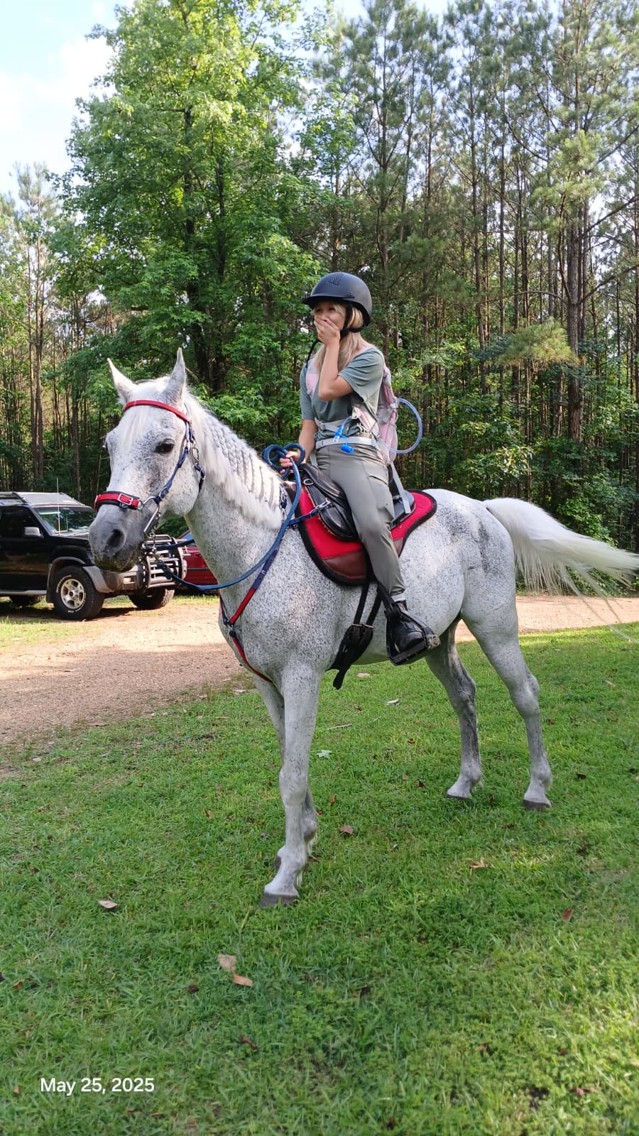 Mississippi Veterans Competitive Horsemanship Program's image