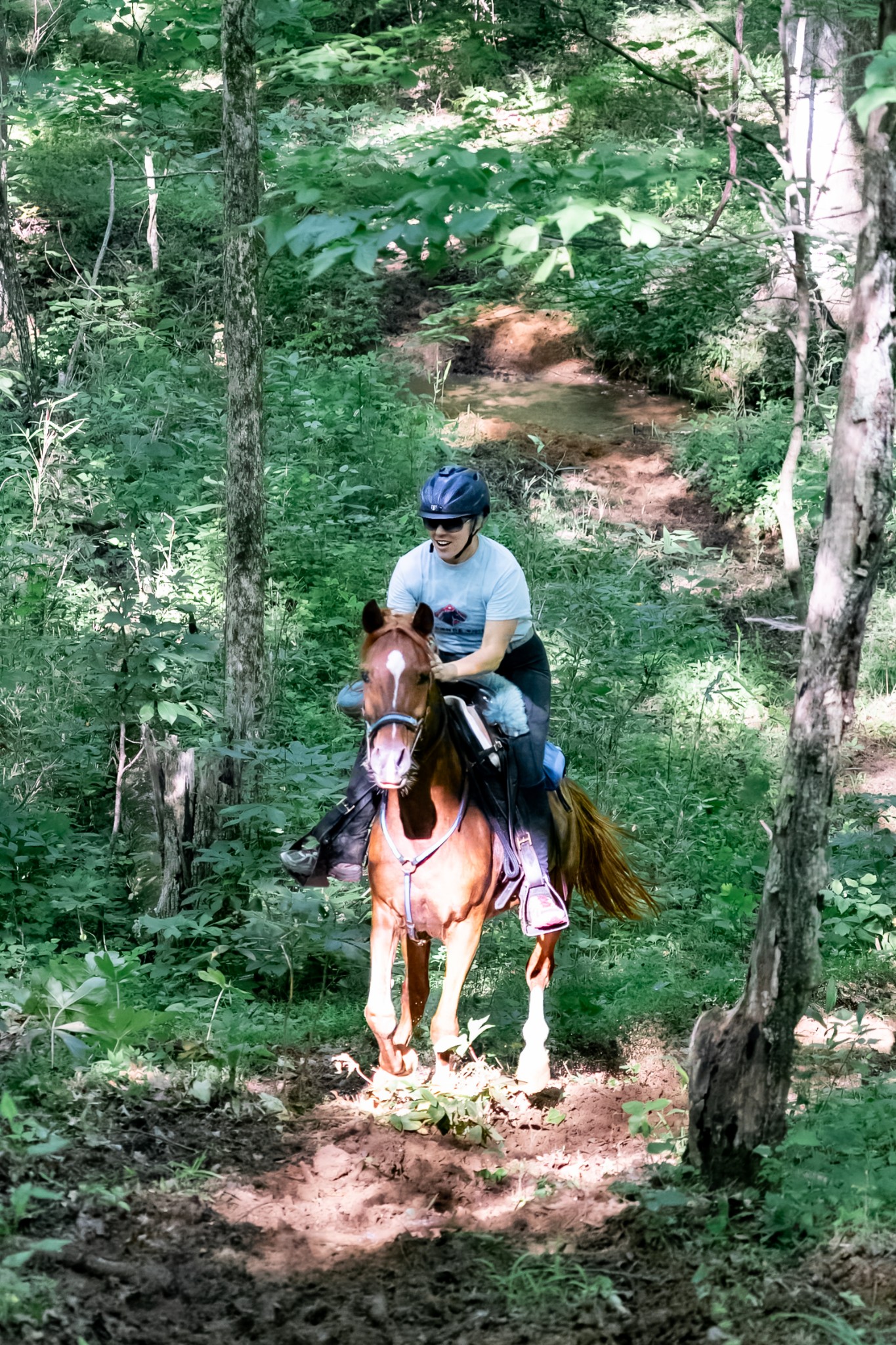 Mississippi Veterans Competitive Horsemanship Program's image
