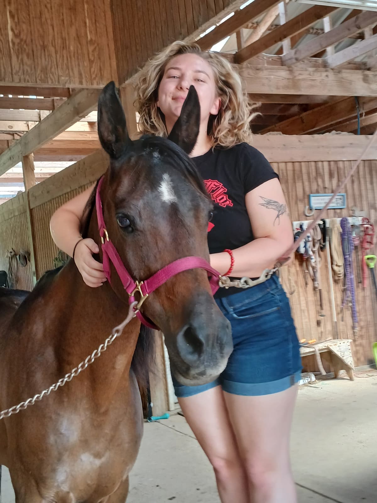 Mississippi Veterans Competitive Horsemanship Program's image