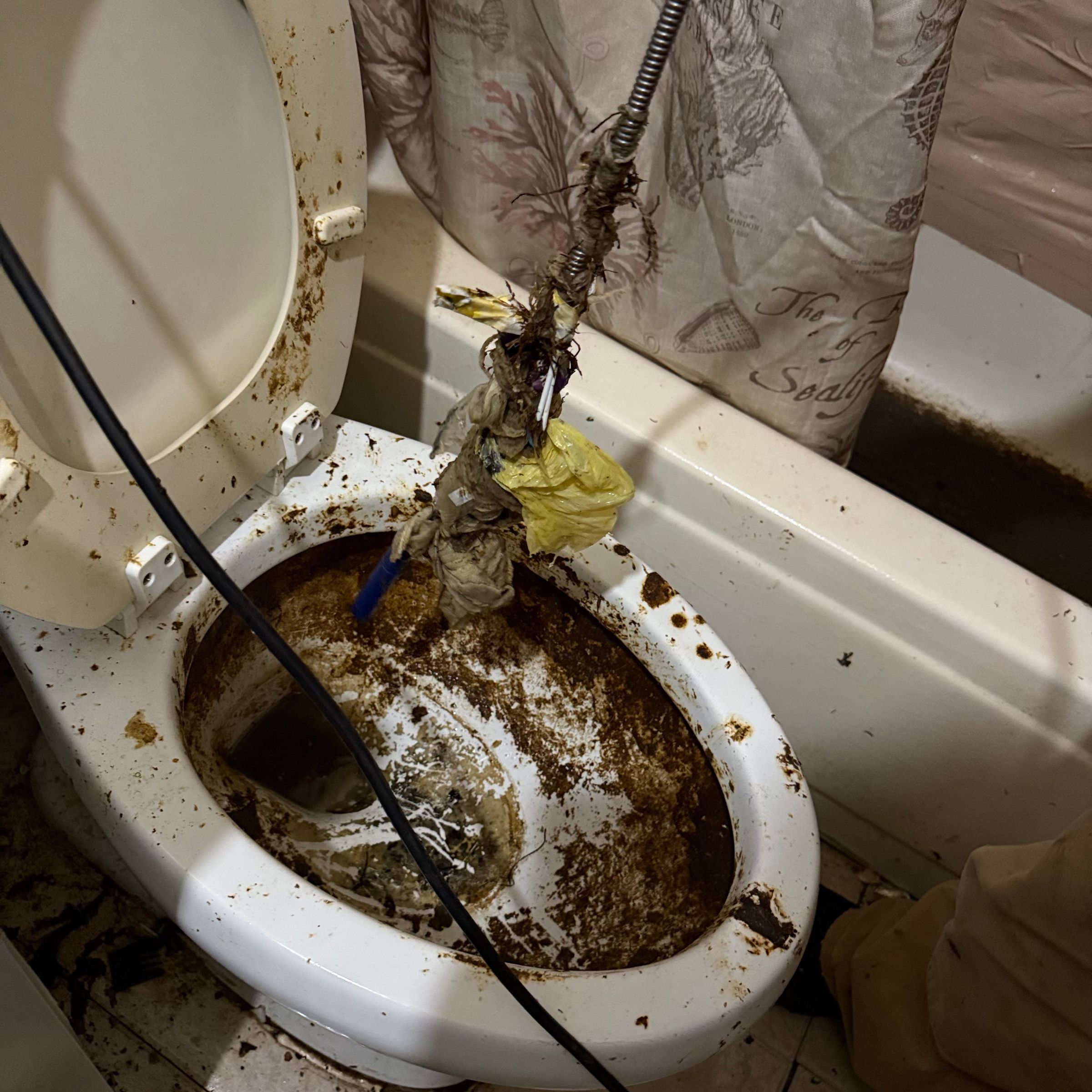 All Round Repair & More LLC's image