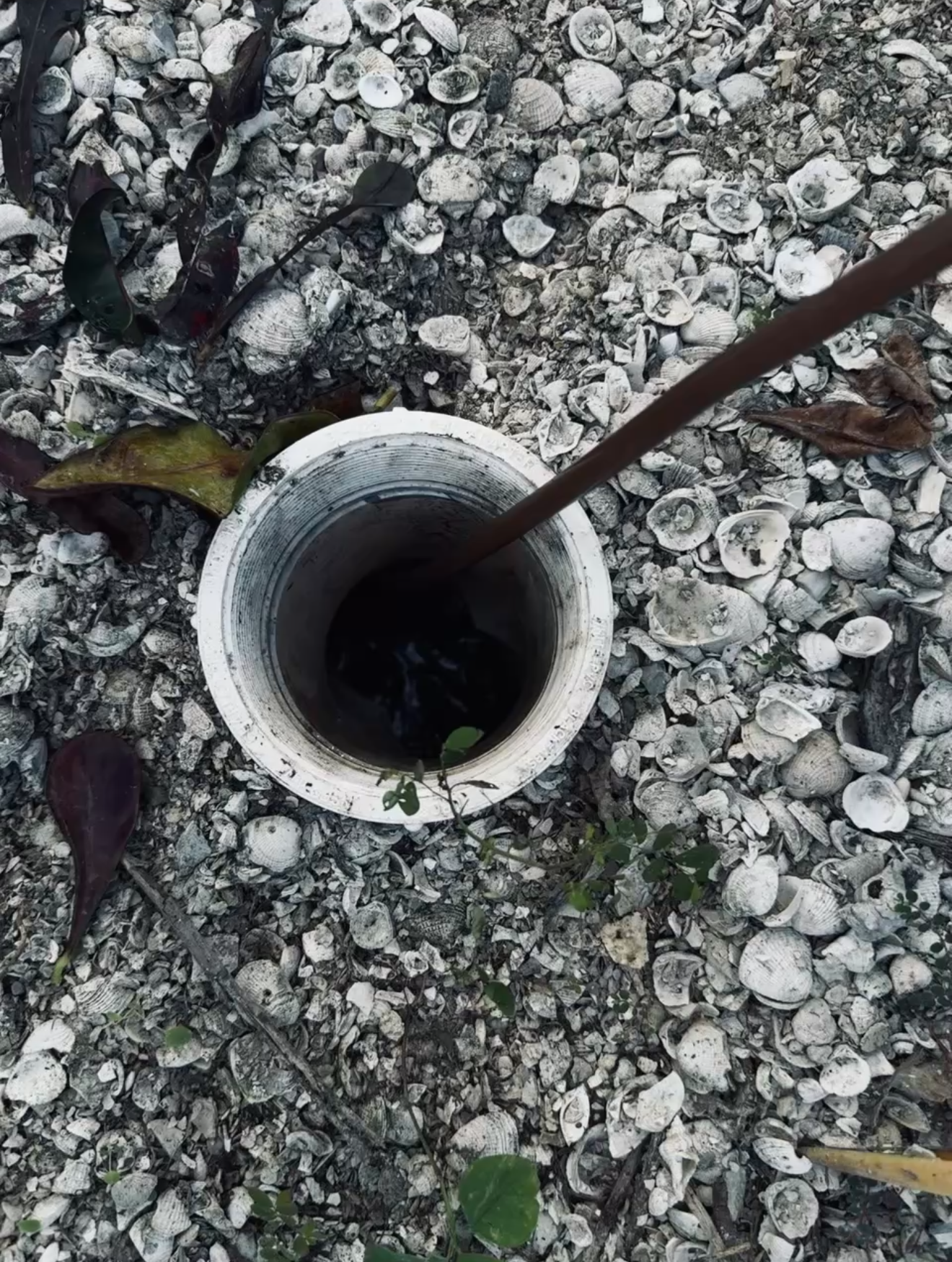 All Round Repair & More LLC's image