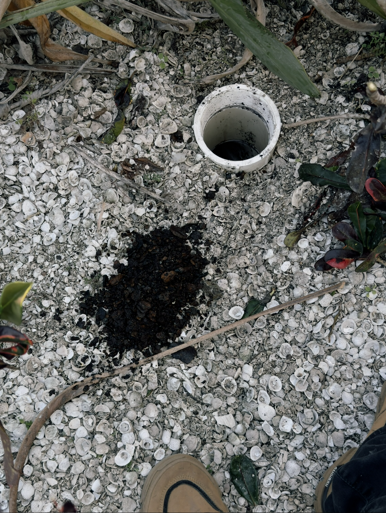 All Round Repair & More LLC's image