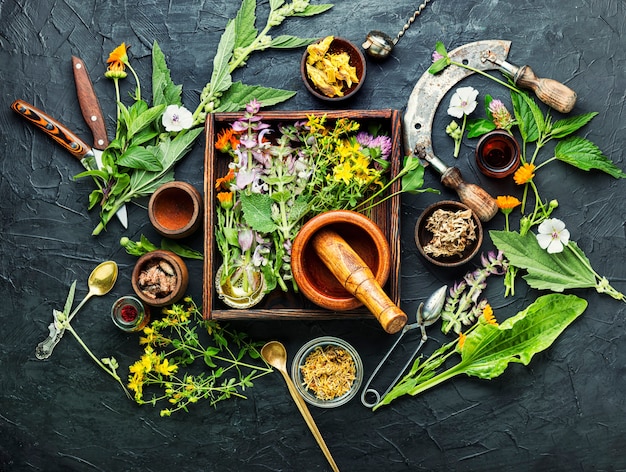 Muskoka Botanics's image