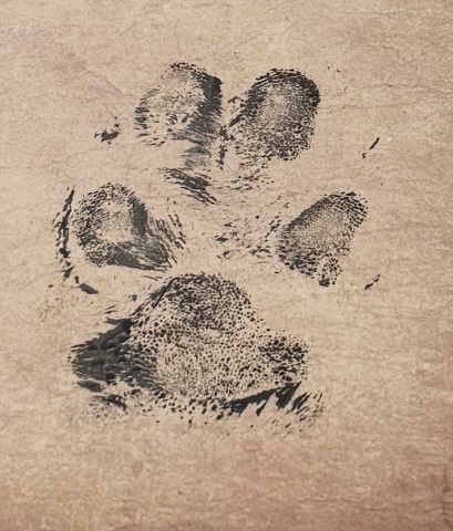 Muskoka Botanics's image