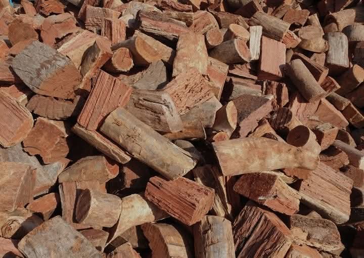 Central Vic Wood 's image