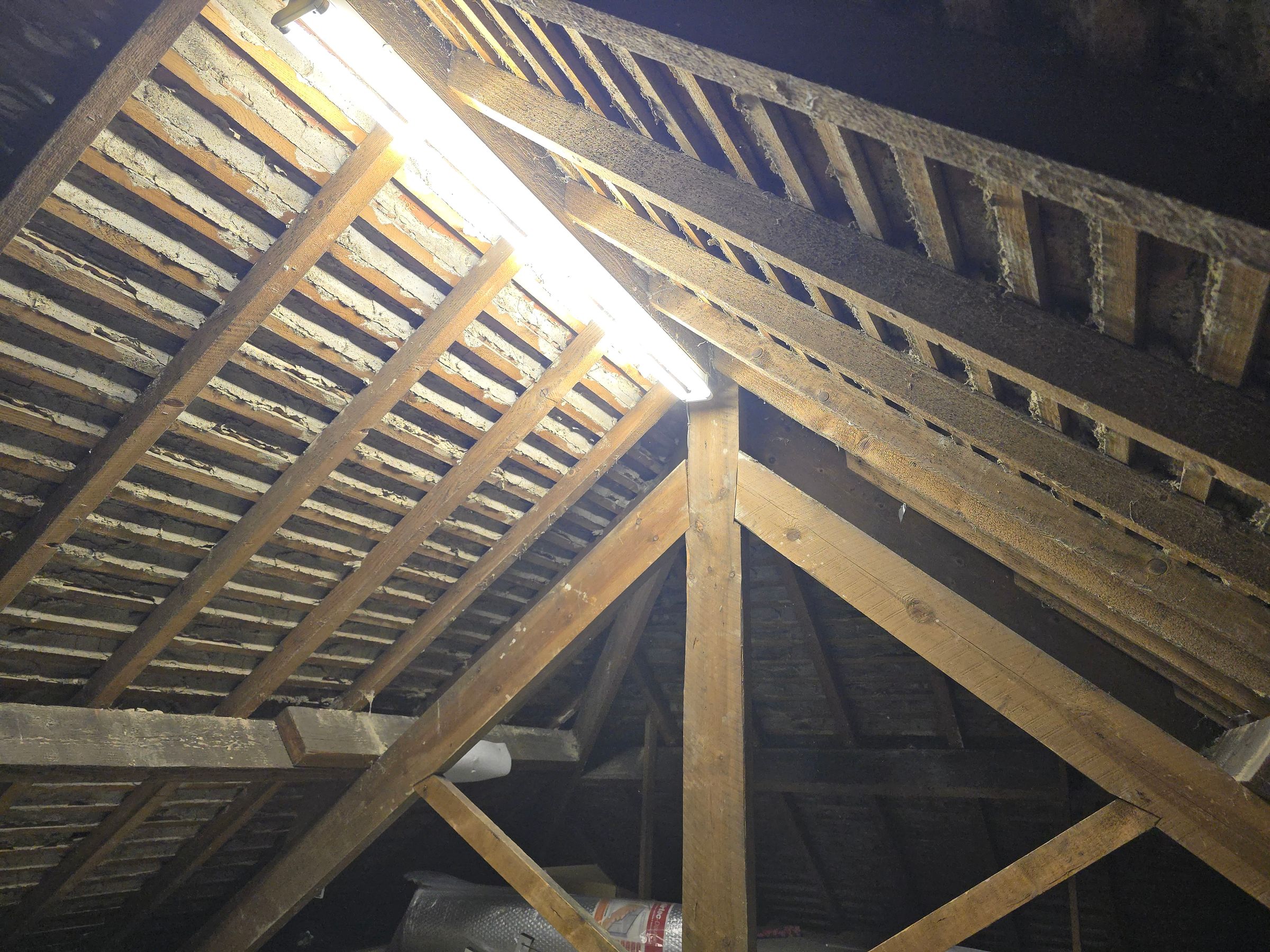 Insulate north east's image