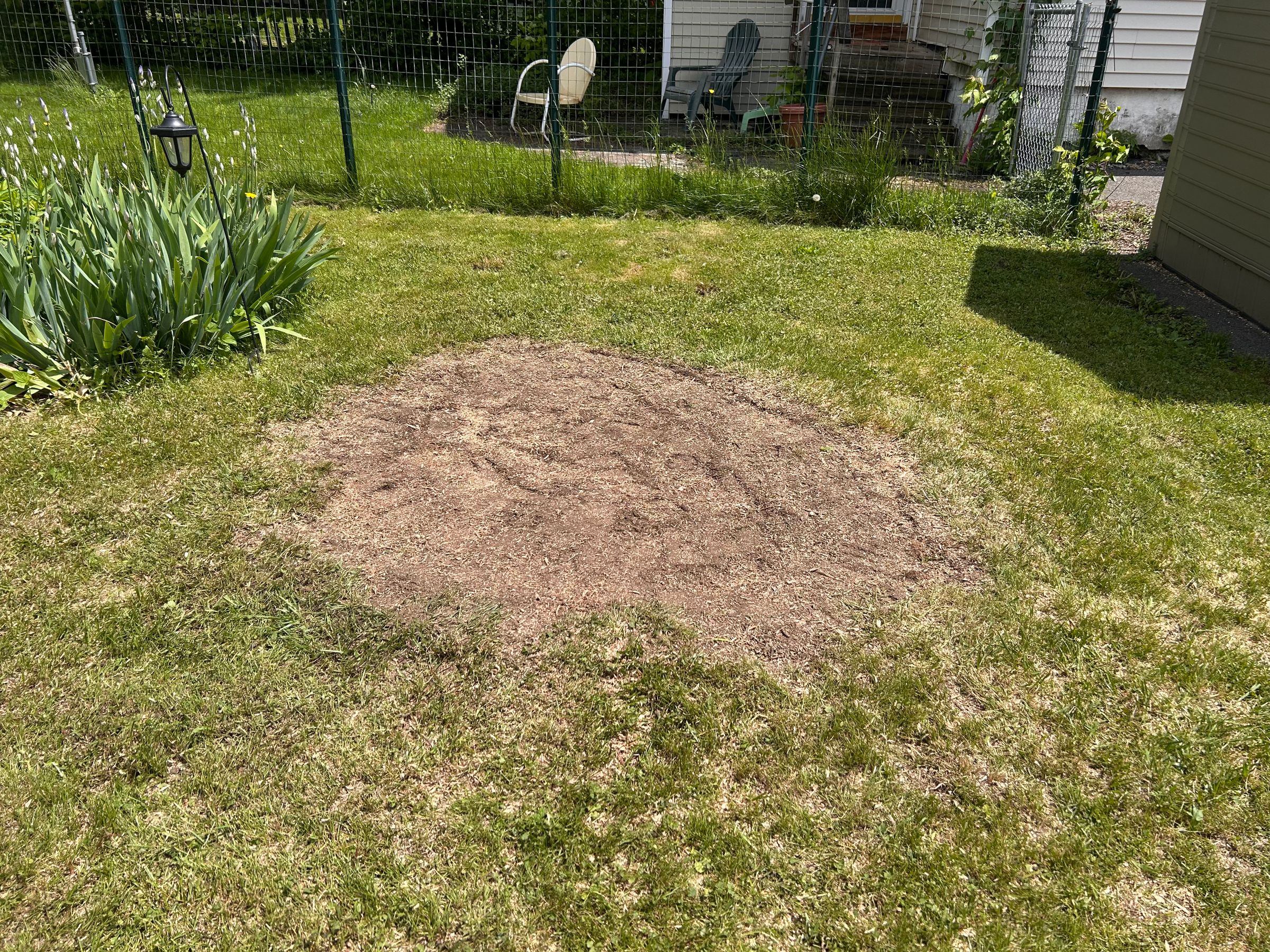 Lalonde’s Stump Removal's image