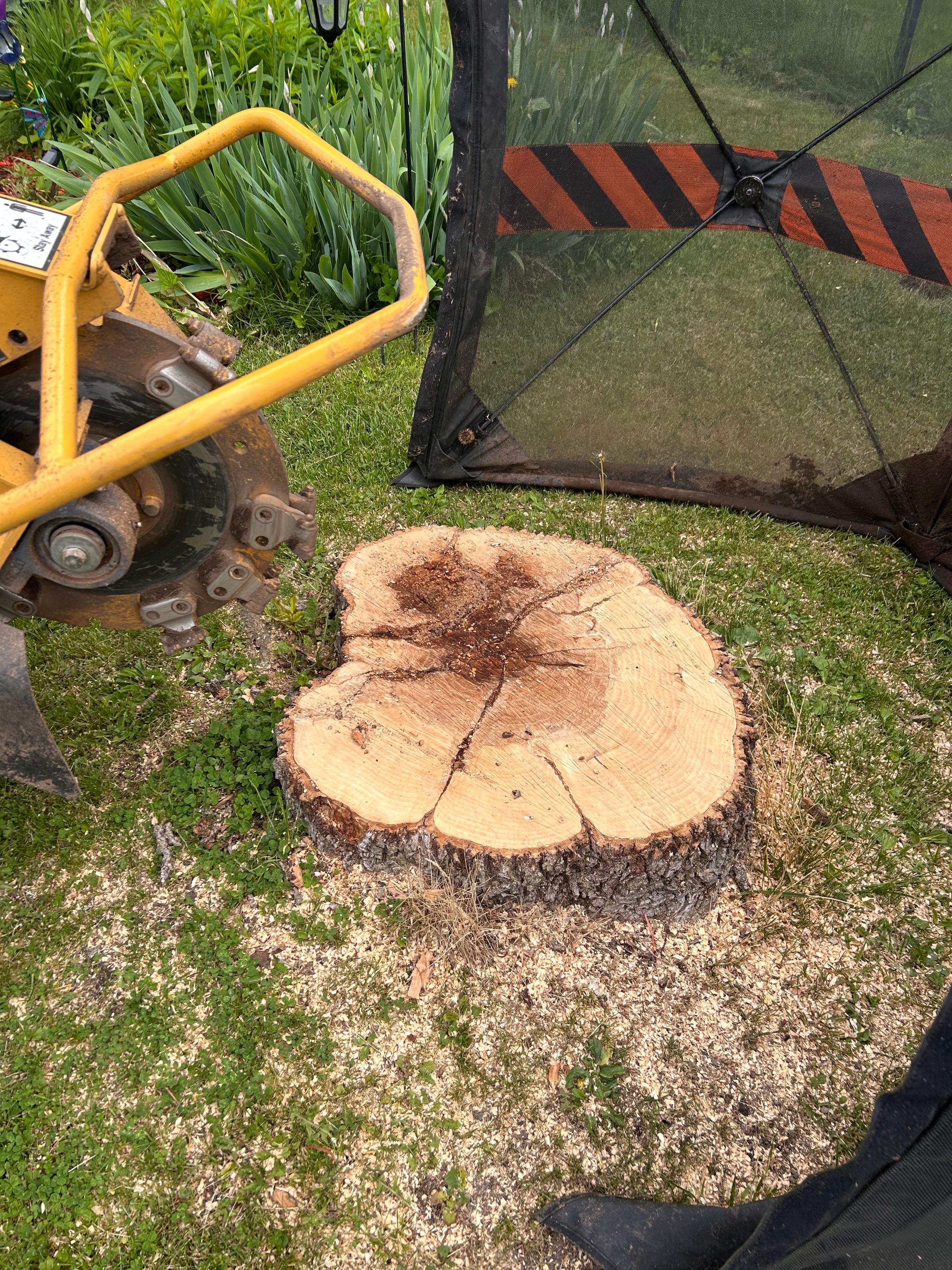 Lalonde’s Stump Removal's image