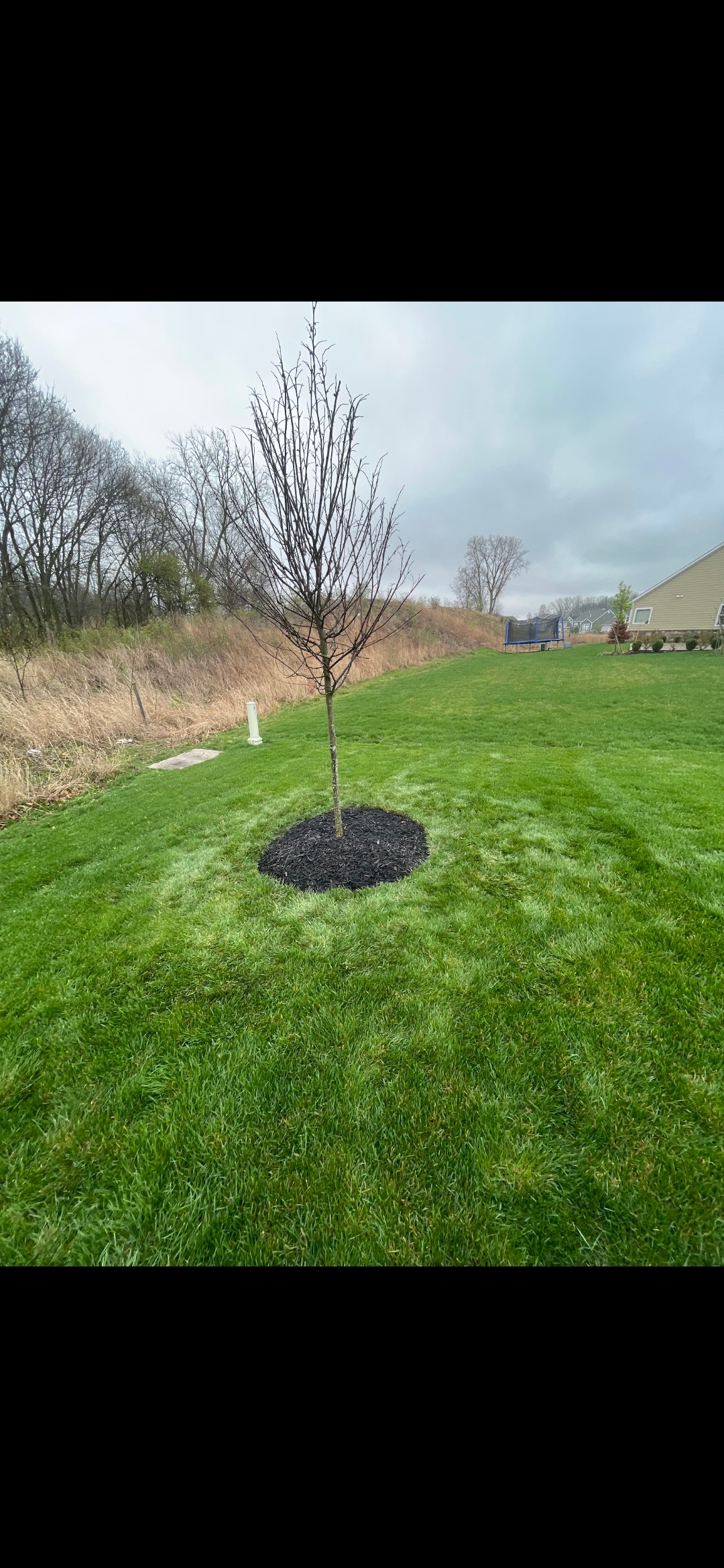 Potts Lawn Care LLC's image